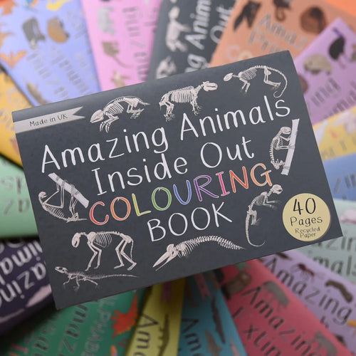 Amazing Animals Inside out colouring book, made in the uk, Button and Squirt | Little Twidlets