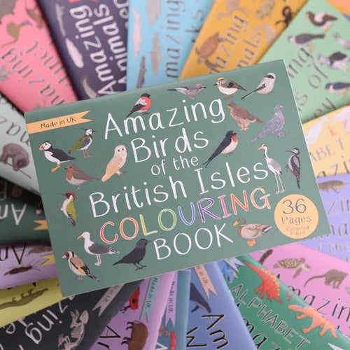 Amazing Birds of the British Isles colouring book, Button and Squirt | Little Twidlets