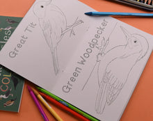 Load image into Gallery viewer, Amazing Birds of the British Isles colouring book, Button and Squirt | Little Twidlets
