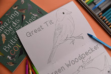 Load image into Gallery viewer, Amazing Birds of the British Isles colouring book, Button and Squirt | Little Twidlets
