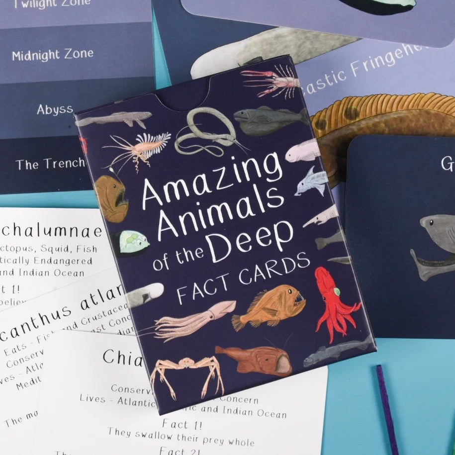 Amazing Animals of the Deep Fact Cards | Button and Squirt