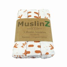 Load image into Gallery viewer, MuslinZ Bamboo/Organic Cotton Muslin Squares - 3 pack
