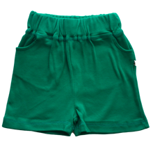 Load image into Gallery viewer, Beeboobuzz Shorts 6-12 Months Green Little Twidlets
