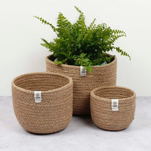 Load image into Gallery viewer, Respiin natural set of nesting baskets with plant | Little Twidlets

