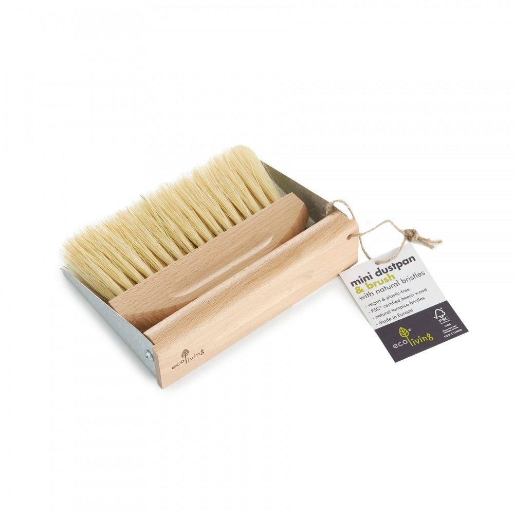 Mini Dust Pan and Brush Set