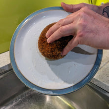 Load image into Gallery viewer, Hedgehog Coconut Scourers (2 pck) | Washing Up Scourers
