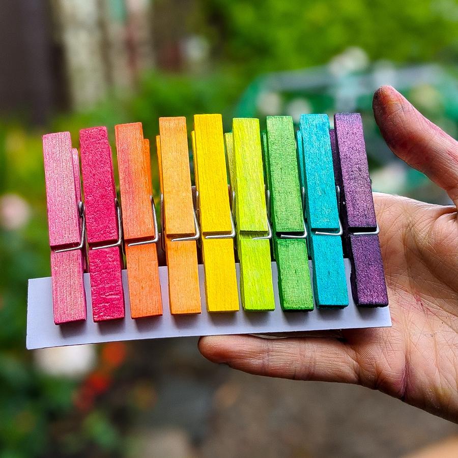 Hellion Toys Wooden Rainbow Pegs | Little Twidlets