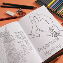 Load image into Gallery viewer, Amazing Animals Colouring Book little Twidlets
