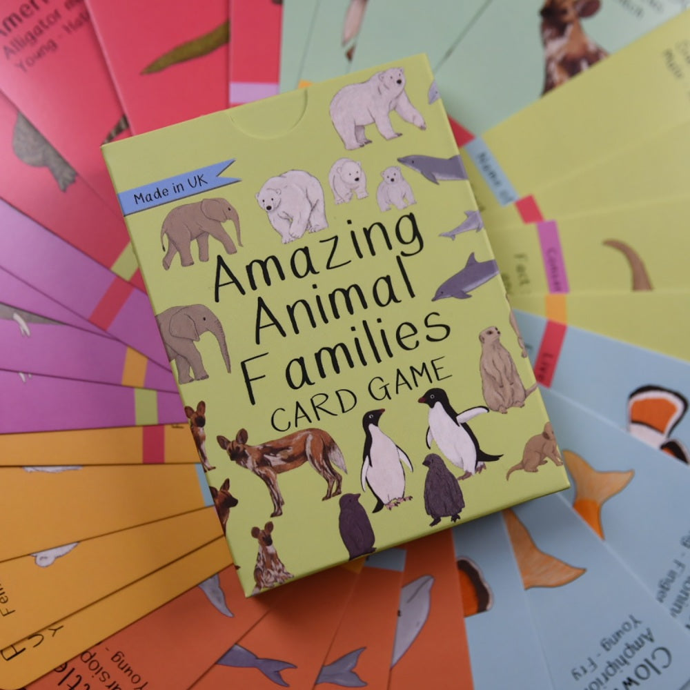 Amazing Animal Families Card Game | Button and Squirt | Little Twidlets