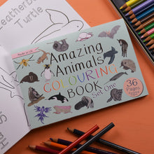 Load image into Gallery viewer, Amazing Animals Colouring Book little Twidlets
