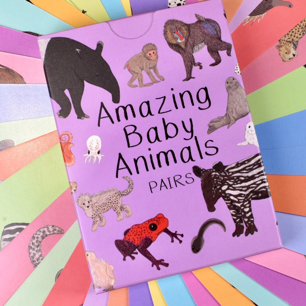 Baby Animal Matching Cards | Button and Squirt | Little Twidlets