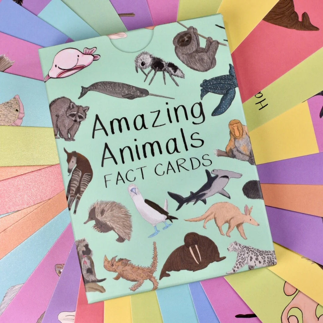 Amazing Animal Set Fact Cards | Button and Squirt Little twidlets