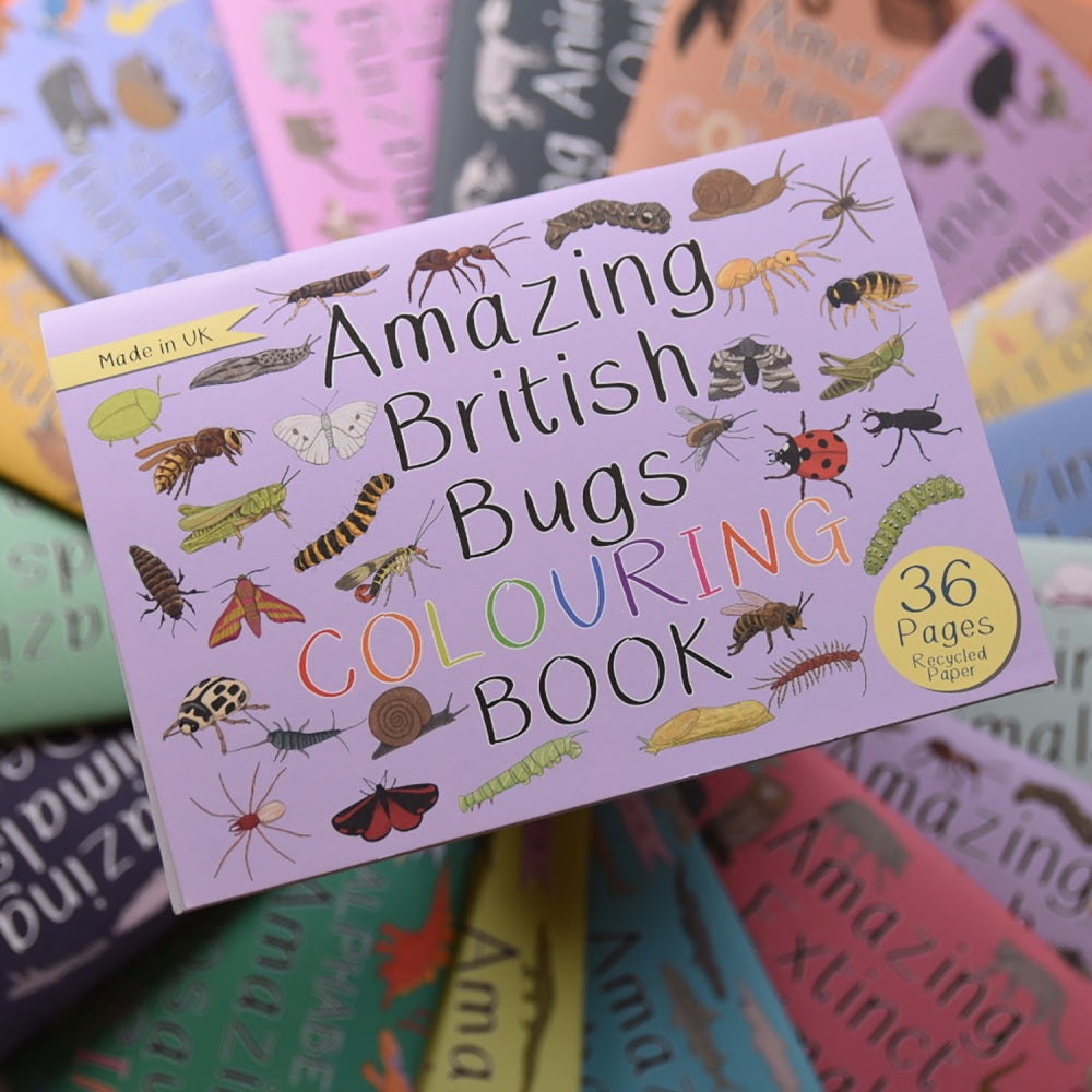 Amazing British Bugs Colouring Book | Button and Squirt