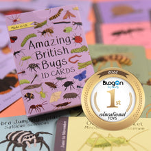 Load image into Gallery viewer, British Bugs ID Cards | Button and Squirt | Little Twidlets Blogon 1st Educational Toys
