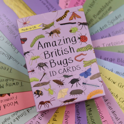 British Bugs ID Cards | Button and Squirt | Little Twidlets