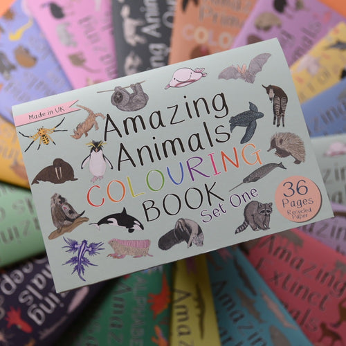 Amazing Animals Colouring Book little Twidlets