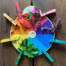 Load image into Gallery viewer, Hellion Toys Nature colour wheel Little twidlets
