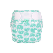Load image into Gallery viewer, Tots Bots Bamboozle Reusable Nappy - Size 1
